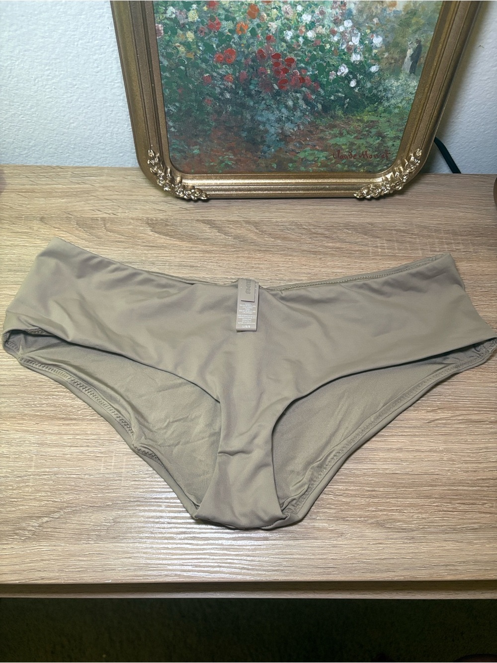 SKIMS Swim Bikini Bottoms in Taupe